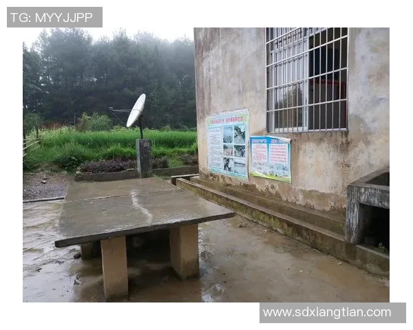 深度对话：黄芳的乒乓球人生