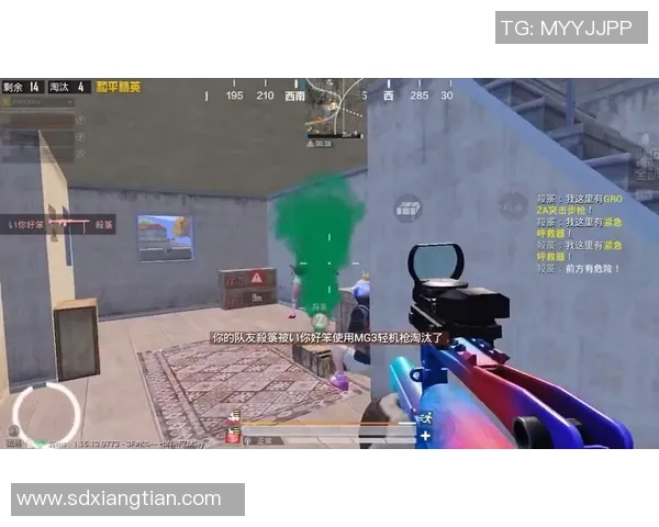 吴静专访：回顾和平精英历程